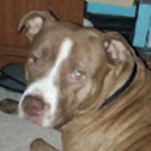 Meet your Posher, Lea